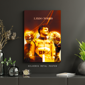  Lando Norris